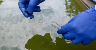 National Wastewater Drug Monitoring… Through a Harm Reduction Lens